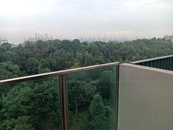 Normanton Park (D5), Apartment #571809861